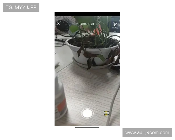 围绕足球捷报比分即时比分v90全面解析最新赛场动态与数据趋势